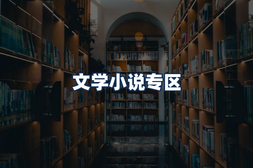 文学小说PDF展示